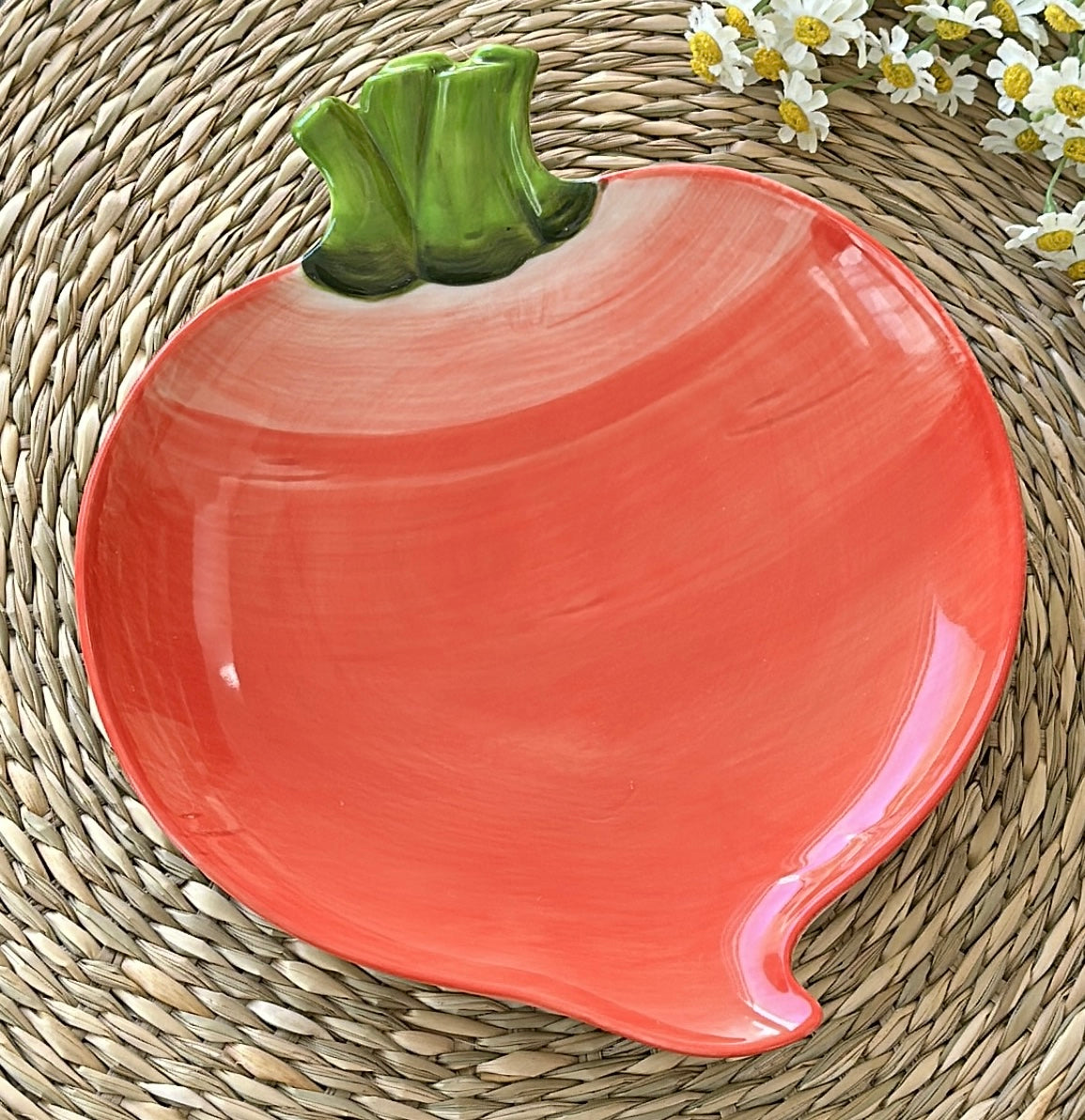Red Reddish Ceramic Plate
